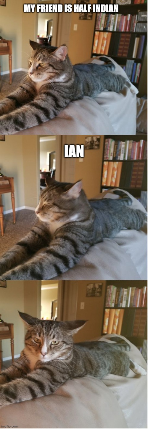 Bad Cat Joke | MY FRIEND IS HALF INDIAN; IAN | image tagged in bad cat joke,memes,bad jokes,cats,meme,funny | made w/ Imgflip meme maker
