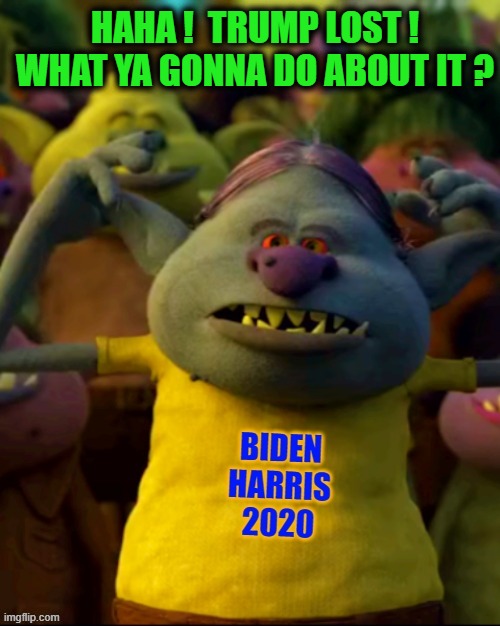 These little guys are everywhere. They're not dangerous just pests. Kinda like flies. | HAHA !  TRUMP LOST ! WHAT YA GONNA DO ABOUT IT ? | image tagged in biden - harris troll,trolls,trolling,liberals vs conservatives,donald trump approves,election 2020 aftermath | made w/ Imgflip meme maker