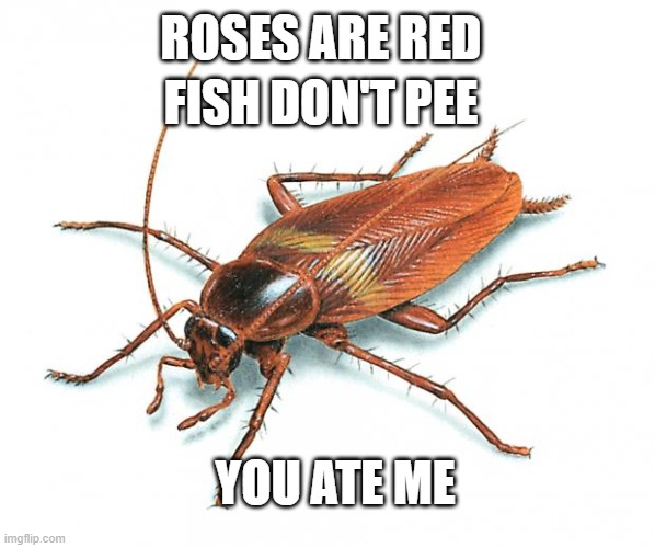 Cockroach | ROSES ARE RED FISH DON'T PEE YOU ATE ME | image tagged in cockroach | made w/ Imgflip meme maker