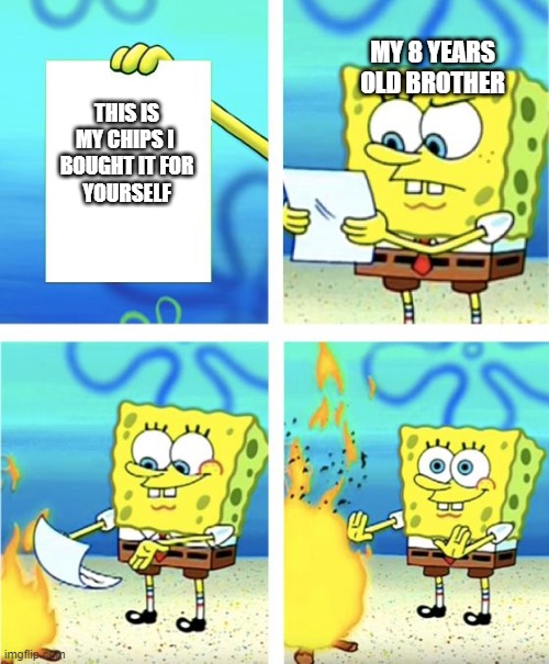 When you bought chips for leater | MY 8 YEARS OLD BROTHER; THIS IS
MY CHIPS I 
BOUGHT IT FOR
YOURSELF | image tagged in spongebob burning paper | made w/ Imgflip meme maker