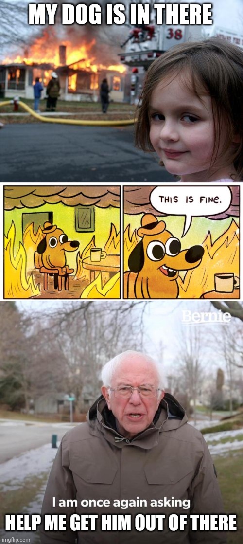 MY DOG IS IN THERE; HELP ME GET HIM OUT OF THERE | image tagged in memes,disaster girl,this is fine,bernie i am once again asking for your support | made w/ Imgflip meme maker