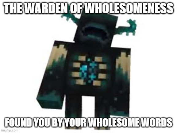 THE WARDEN OF WHOLESOMENESS FOUND YOU BY YOUR WHOLES0ME WORDS | made w/ Imgflip meme maker