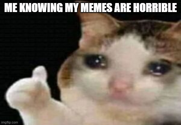 crying cat thumbs up | ME KNOWING MY MEMES ARE HORRIBLE | image tagged in crying cat thumbs up | made w/ Imgflip meme maker