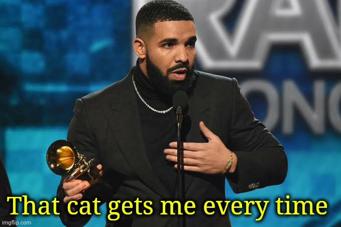 Drake accepting award | That cat gets me every time | image tagged in drake accepting award | made w/ Imgflip meme maker