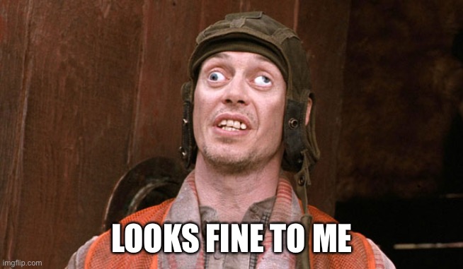 Crosseyed Steve buscemi | LOOKS FINE TO ME | image tagged in crosseyed steve buscemi | made w/ Imgflip meme maker