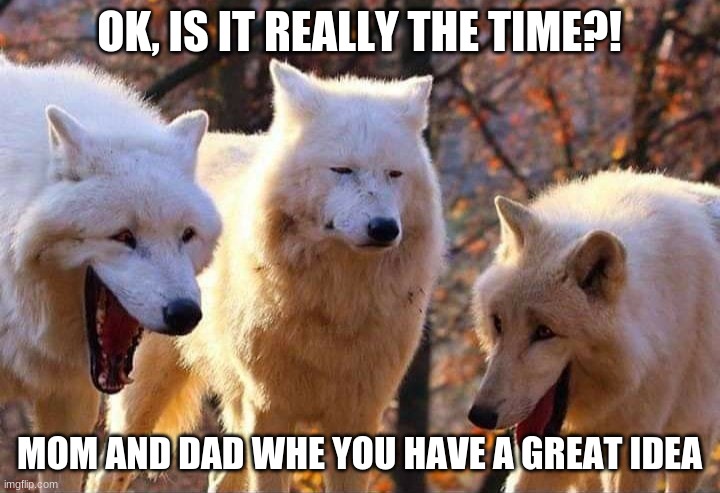 Laughing wolf | OK, IS IT REALLY THE TIME?! MOM AND DAD WHE YOU HAVE A GREAT IDEA | image tagged in laughing wolf | made w/ Imgflip meme maker