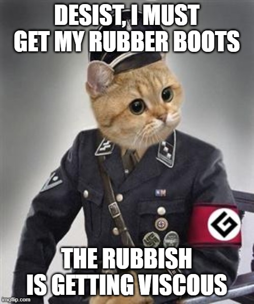 Grammar Nazi Cat | DESIST, I MUST GET MY RUBBER BOOTS; THE RUBBISH IS GETTING VISCOUS | image tagged in grammar nazi cat,cats,memes,funny,meme,bad grammar and spelling memes | made w/ Imgflip meme maker