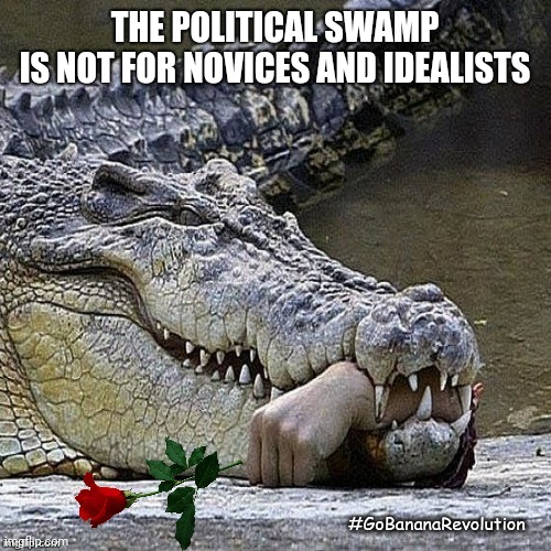 Opportunistic Predator | THE POLITICAL SWAMP
IS NOT FOR NOVICES AND IDEALISTS | image tagged in opportunistic predator | made w/ Imgflip meme maker