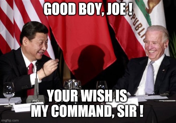 Xi-Biden | GOOD BOY, JOE ! YOUR WISH IS MY COMMAND, SIR ! | image tagged in xi-biden | made w/ Imgflip meme maker