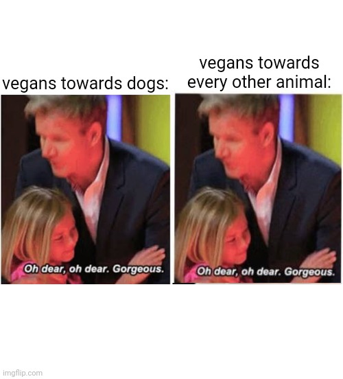 Gordon Ramsay kids vs adults | vegans towards every other animal:; vegans towards dogs: | image tagged in gordon ramsay kids vs adults | made w/ Imgflip meme maker