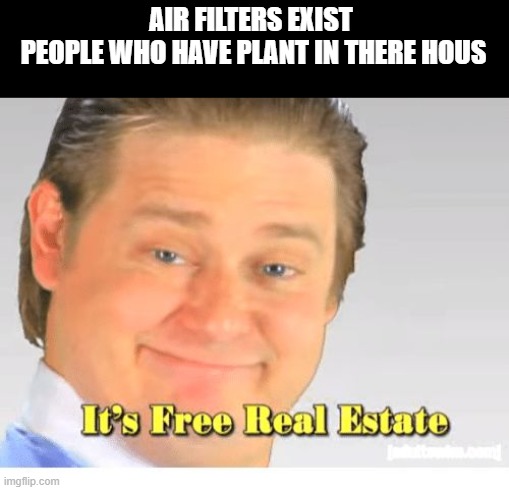 It's Free Real Estate | AIR FILTERS EXIST 
PEOPLE WHO HAVE PLANT IN THERE HOUS | image tagged in it's free real estate | made w/ Imgflip meme maker