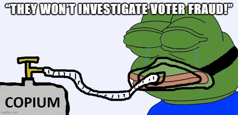 That’s a lot of copium | “THEY WON’T INVESTIGATE VOTER FRAUD!” | image tagged in pepe copium | made w/ Imgflip meme maker