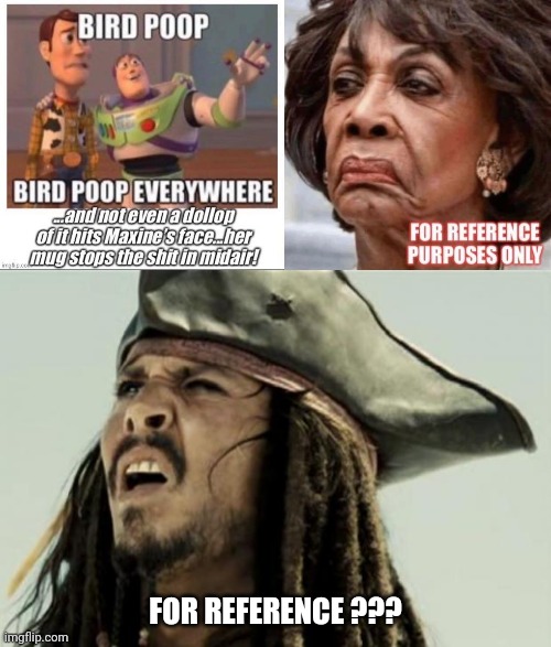 FOR REFERENCE ??? | image tagged in confused dafuq jack sparrow what,memes | made w/ Imgflip meme maker