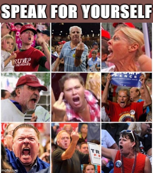 Triggered Trump supporters | SPEAK FOR YOURSELF | image tagged in triggered trump supporters | made w/ Imgflip meme maker