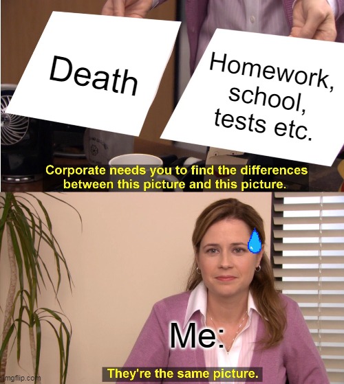They're The Same Picture Meme | Death; Homework, school, tests etc. Me: | image tagged in memes,they're the same picture | made w/ Imgflip meme maker