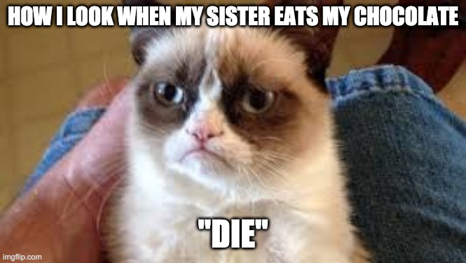 Grumpy Cat | HOW I LOOK WHEN MY SISTER EATS MY CHOCOLATE; "DIE" | image tagged in grumpy cat | made w/ Imgflip meme maker