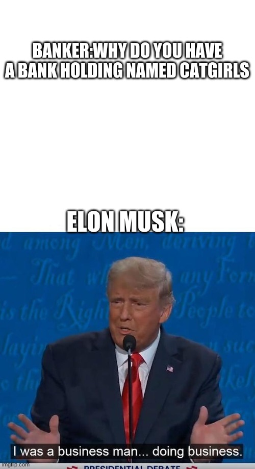 business | BANKER:WHY DO YOU HAVE A BANK HOLDING NAMED CATGIRLS; ELON MUSK: | image tagged in blank white template,i was a business man doing business,memes | made w/ Imgflip meme maker