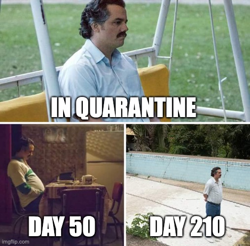 Sad Pablo Escobar | IN QUARANTINE; DAY 50; DAY 210 | image tagged in memes,sad pablo escobar | made w/ Imgflip meme maker