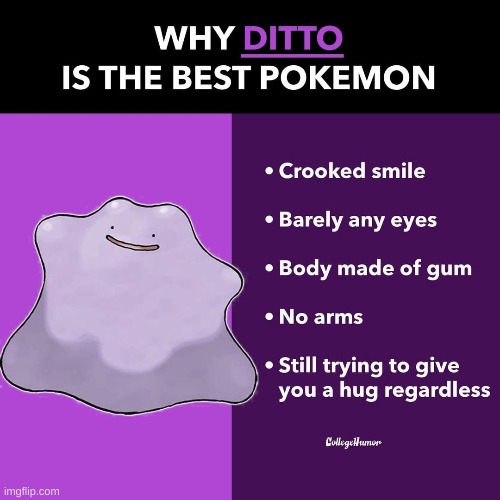 WHOLESOME CRUSADE | made w/ Imgflip meme maker