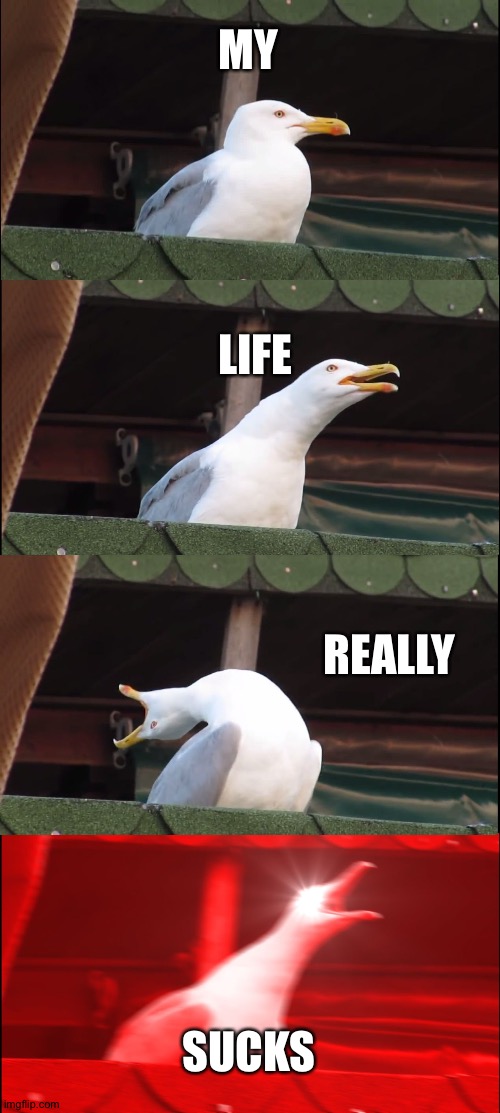 Inhaling Seagull Meme | MY; LIFE; REALLY; SUCKS | image tagged in memes,inhaling seagull | made w/ Imgflip meme maker