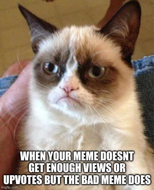 Grumpy Cat | WHEN YOUR MEME DOESNT GET ENOUGH VIEWS OR UPVOTES BUT THE BAD MEME DOES | image tagged in memes,grumpy cat,funny memes,funny,funny cats,cats | made w/ Imgflip meme maker