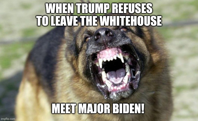 Bye bye Trumpy Bear!! | WHEN TRUMP REFUSES TO LEAVE THE WHITEHOUSE; MEET MAJOR BIDEN! | image tagged in trump,biden,major biden,election 2020,dump trump,whitehouse | made w/ Imgflip meme maker
