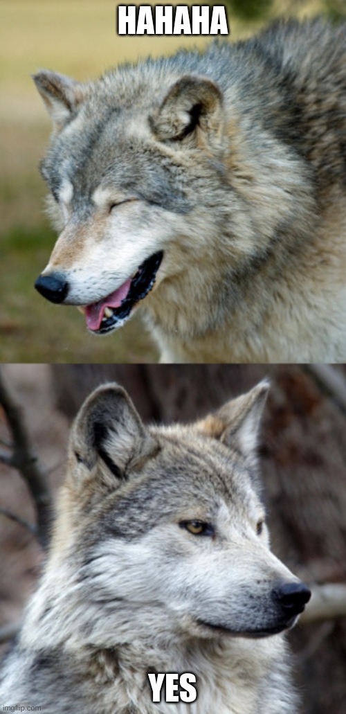 haha-no-wolf | HAHAHA YES | image tagged in haha-no-wolf | made w/ Imgflip meme maker