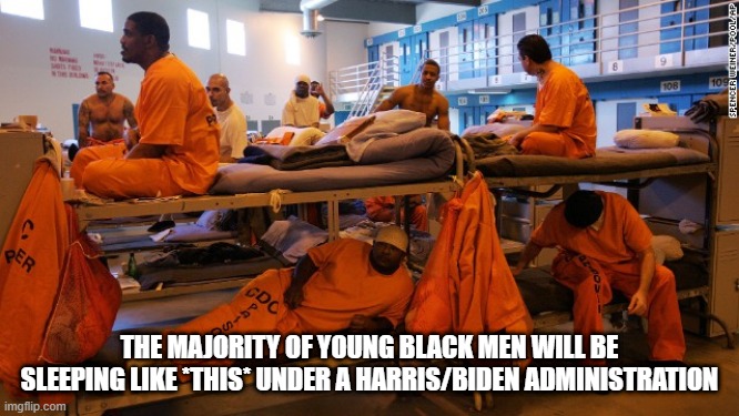 THE MAJORITY OF YOUNG BLACK MEN WILL BE SLEEPING LIKE *THIS* UNDER A HARRIS/BIDEN ADMINISTRATION | made w/ Imgflip meme maker
