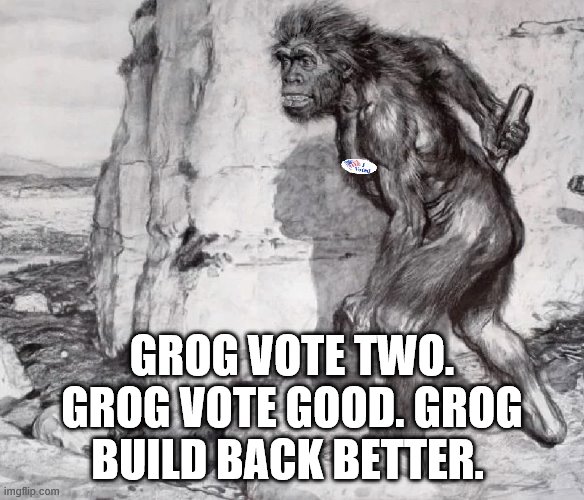 30330 B.C.E.: Grog hopes mailin ballot make it time for 2020 A.D. prezi-dental elec-shun | GROG VOTE TWO. GROG VOTE GOOD. GROG BUILD BACK BETTER. | image tagged in voter fraud,election 2020,election fraud,political meme,politics | made w/ Imgflip meme maker