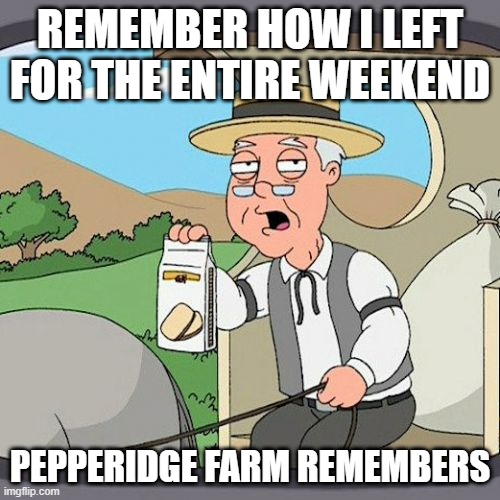 idk...lolz... | REMEMBER HOW I LEFT FOR THE ENTIRE WEEKEND; PEPPERIDGE FARM REMEMBERS | image tagged in memes,pepperidge farm remembers | made w/ Imgflip meme maker