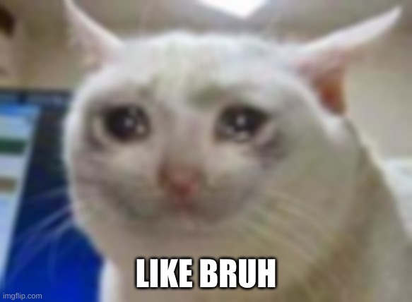 Sad cat | LIKE BRUH | image tagged in sad cat | made w/ Imgflip meme maker