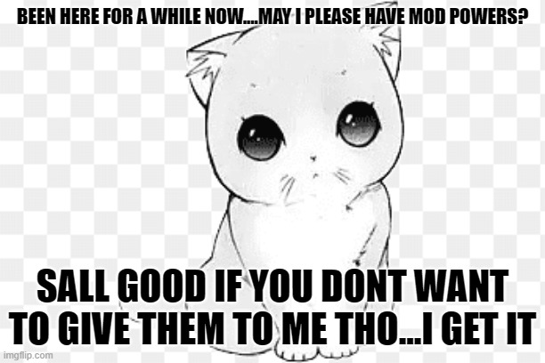 mod? idk... | BEEN HERE FOR A WHILE NOW....MAY I PLEASE HAVE MOD POWERS? SALL GOOD IF YOU DONT WANT TO GIVE THEM TO ME THO...I GET IT | image tagged in kawaii cat 2,moderators,idk | made w/ Imgflip meme maker
