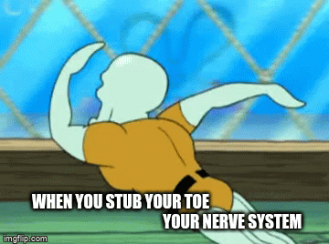 Stickman Stub Toe Meme GIF