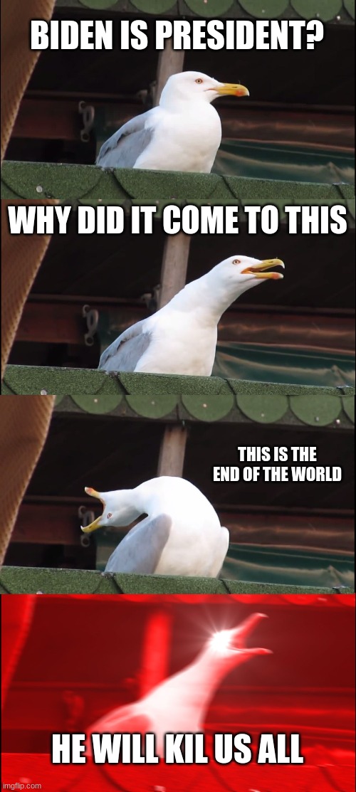 Inhaling Seagull | BIDEN IS PRESIDENT? WHY DID IT COME TO THIS; THIS IS THE END OF THE WORLD; HE WILL KIL US ALL | image tagged in memes,inhaling seagull | made w/ Imgflip meme maker