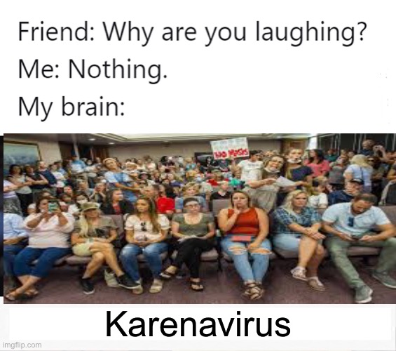why are you laughing | Karenavirus | image tagged in why are you laughing | made w/ Imgflip meme maker
