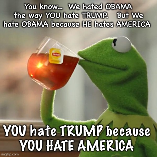But That's None Of My Business | You know...  We hated OBAMA the way YOU hate TRUMP.   But We hate OBAMA because HE hates AMERICA; YOU hate TRUMP because 
YOU HATE AMERICA | image tagged in memes,but that's none of my business,kermit the frog | made w/ Imgflip meme maker