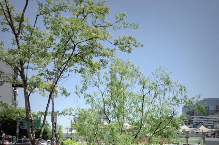 I cropped my face | made w/ Imgflip meme maker