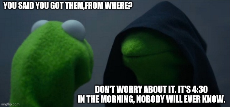Evil Kermit Meme | YOU SAID YOU GOT THEM,FROM WHERE? DON'T WORRY ABOUT IT. IT'S 4:30 IN THE MORNING, NOBODY WILL EVER KNOW. | image tagged in memes,evil kermit | made w/ Imgflip meme maker