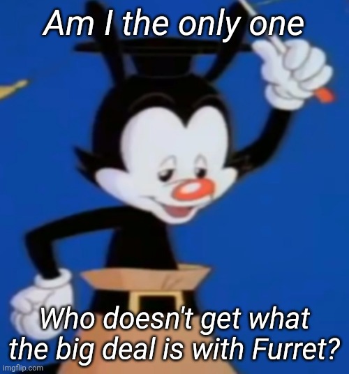 Am I the only one; Who doesn't get what the big deal is with Furret? | image tagged in memoriesofchurch | made w/ Imgflip meme maker