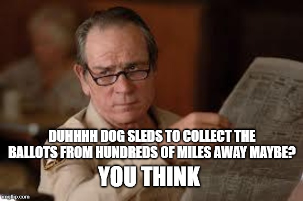 no country for old men tommy lee jones | DUHHHH DOG SLEDS TO COLLECT THE BALLOTS FROM HUNDREDS OF MILES AWAY MAYBE? YOU THINK | image tagged in no country for old men tommy lee jones | made w/ Imgflip meme maker