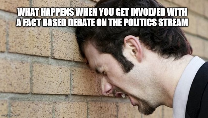 WHAT HAPPENS WHEN YOU GET INVOLVED WITH A FACT BASED DEBATE ON THE POLITICS STREAM | image tagged in waste of time | made w/ Imgflip meme maker