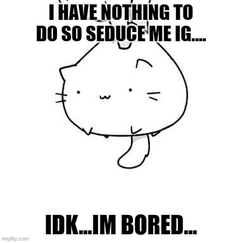 no clue anymore.... | I HAVE NOTHING TO DO SO SEDUCE ME IG.... IDK...IM BORED... | image tagged in cat | made w/ Imgflip meme maker