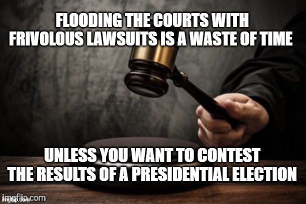 Court | FLOODING THE COURTS WITH FRIVOLOUS LAWSUITS IS A WASTE OF TIME; UNLESS YOU WANT TO CONTEST THE RESULTS OF A PRESIDENTIAL ELECTION | image tagged in court | made w/ Imgflip meme maker