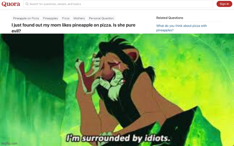 No, just because someone likes pineapple on pizza, does not mean they are evil | image tagged in i'm surrounded by idiots,memes,pineapple pizza,funny | made w/ Imgflip meme maker