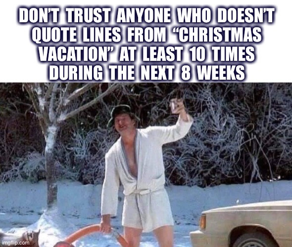 What’s your favorite line from the movie? | DON’T  TRUST  ANYONE  WHO  DOESN’T
QUOTE  LINES  FROM  “CHRISTMAS
VACATION”  AT  LEAST  10  TIMES
DURING  THE  NEXT  8  WEEKS | image tagged in cousin eddie,christmas vacation,shitters full,clark griswold,movie quotes,memes | made w/ Imgflip meme maker