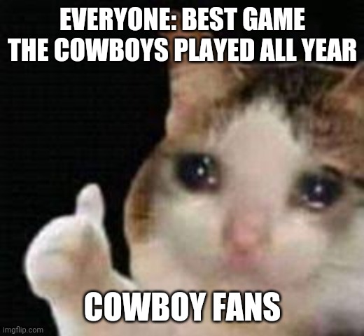 Cowboy fans | EVERYONE: BEST GAME THE COWBOYS PLAYED ALL YEAR; COWBOY FANS | image tagged in approved crying cat | made w/ Imgflip meme maker
