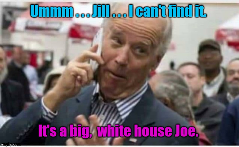 White House. | Ummm . . . Jill . . . I can't find it. It's a big,  white house Joe. | image tagged in biden,kindafunny | made w/ Imgflip meme maker