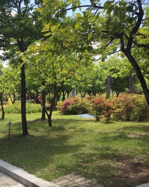 I was on the left with le hanbok but my face wasded | made w/ Imgflip meme maker