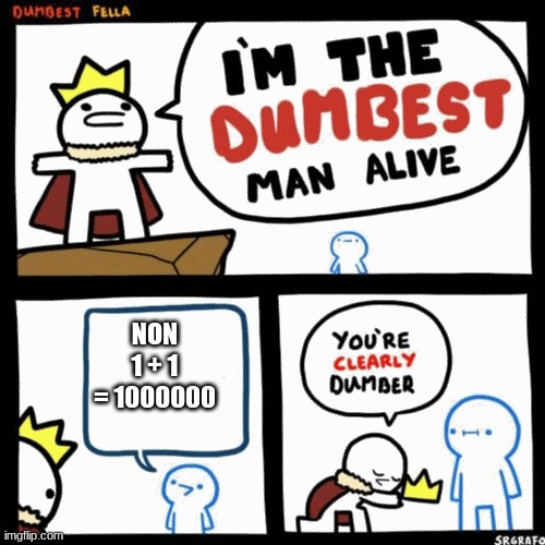 I'm the dumbest man alive | NON 1 + 1 = 1000000 | image tagged in i'm the dumbest man alive | made w/ Imgflip meme maker