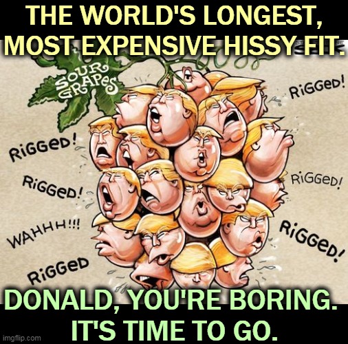 Sour grapes. The election was free and fair, and you lost. | THE WORLD'S LONGEST, MOST EXPENSIVE HISSY FIT. DONALD, YOU'RE BORING. 
IT'S TIME TO GO. | image tagged in trump sour grapes,tantrum,boring | made w/ Imgflip meme maker